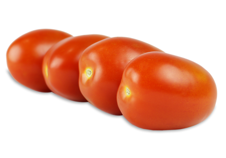 Roma Tomato Millennium Pacific Greenhouse