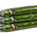 Packaged English Cucumbers with Farm Stickers